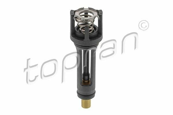 Termostat 113°C 13-Golf.VII-Psst-Tgu-Tou-Oct-Leo-A4-A5-A6 1.8-2.0Tsi-Tfsi