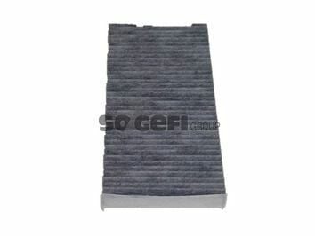 Polen Filtresi 04-407-C5-C6 + Ca