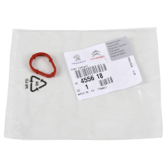 Vakum Pompası Conta Dv4 Küçük Tüm Seri Citroen C2 / Peugeot 206 207 307