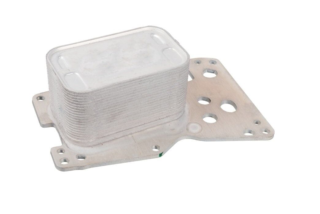 Bmw F10 Kasa 520d N47S1 Motor Yağ Soğutucusu