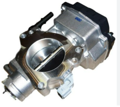 Citroen Xsara 2001-2006 Gaz Kelebeği Orijinal