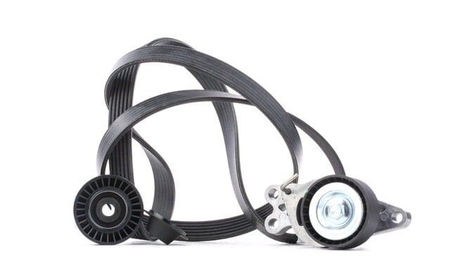Peugeot 206 Plus 1.4 Benzinli Alternatör Kayış Kiti Orijinal